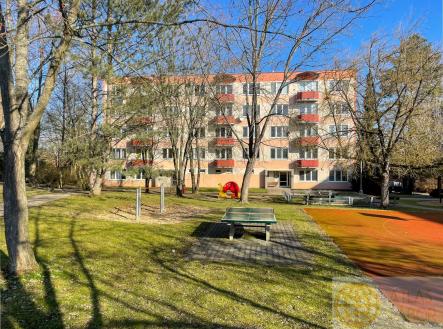 IMG_6524.jpg | Pronájem bytu, 1+1, 36 m²