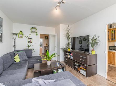 Bez popisku | Prodej bytu, 3+1, 80 m²