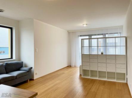 Pronájem bytu, 1+kk, 43 m²