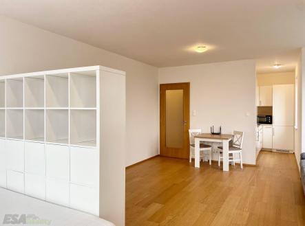 Pronájem bytu, 1+kk, 43 m²