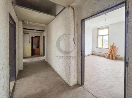 Dům - Ústí nad Labem, Vaňov | Prodej - nájemní dům, 382 m²