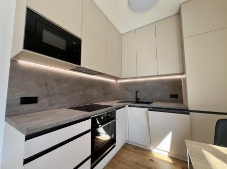 IMG_4262.jpeg | Pronájem bytu, 1+kk, 33 m²