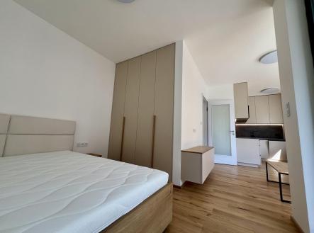 IMG_4257.jpeg | Pronájem bytu, 1+kk, 33 m²