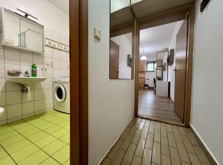IMG_4418.jpeg | Pronájem bytu, 1+kk, 28 m²