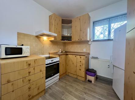 IMG_4420.jpeg | Pronájem bytu, 1+kk, 28 m²