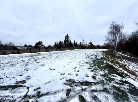 pozemek  | Prodej - pozemek pro bydlení, 1 371 m²