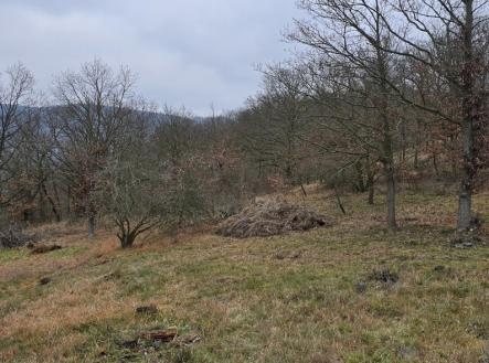 Fotka 3 | Prodej - pozemek, les, 13 913 m²