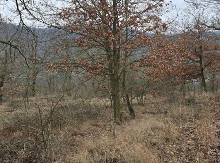 Fotka 4 | Prodej - pozemek, les, 13 913 m²