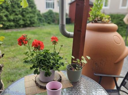 Fotka 4 | Prodej - nájemní dům, 400 m²