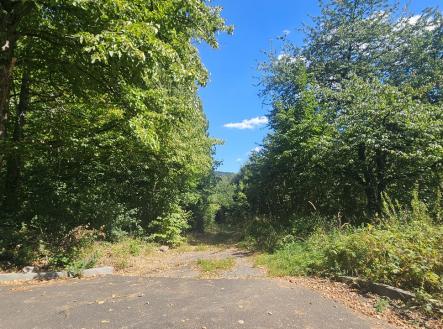 Fotka 2 | Prodej - pozemek pro bydlení, 5 391 m²