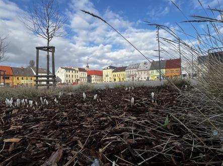 Fotka 10 | Prodej bytu, 3+1, 71 m²