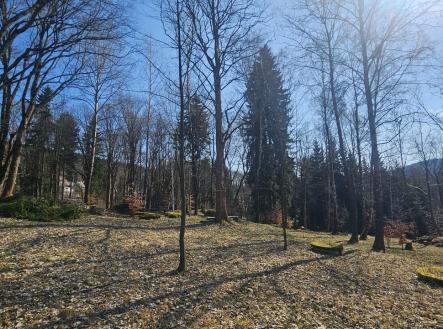 Fotka 3 | Prodej - pozemek pro bydlení, 11 396 m²