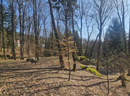 Fotka 4 | Prodej - pozemek pro bydlení, 11 396 m²