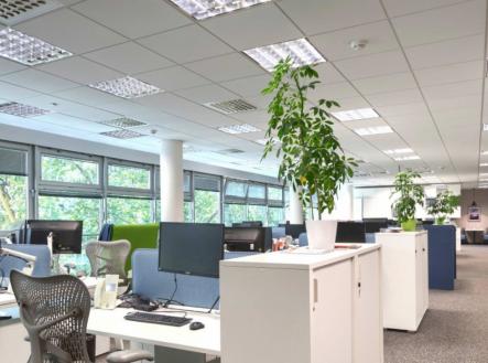 img-0771.jpeg | Pronájem - kanceláře, 178 m²