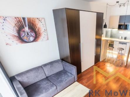 d-433-2020-pronajem-apartmany-praha-albertov-rental-apartments-04.jpg | Pronájem bytu, 1+kk, 30 m²