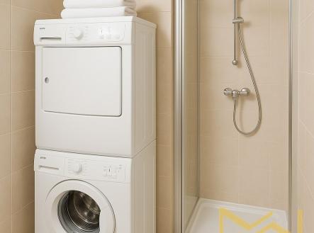 koupelna.jpg | Pronájem bytu, 1+kk, 30 m²