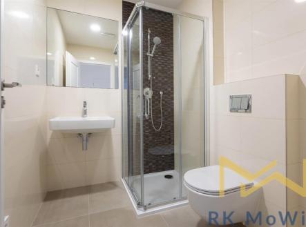 c-02.jpg | Pronájem bytu, 1+kk, 56 m²