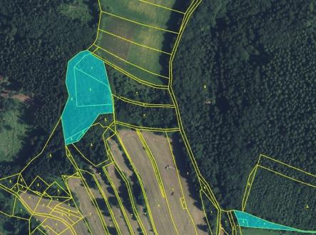 jirka-les.jpg | Prodej - pozemek, les, 11 901 m²