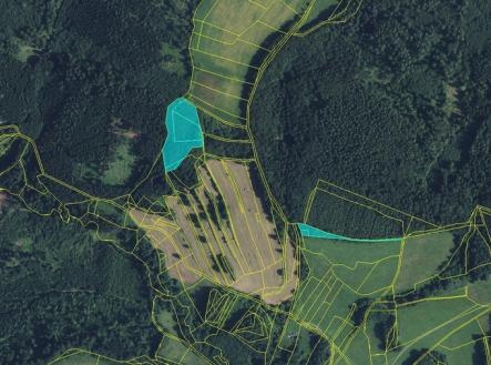 jirka-les-32.jpg | Prodej - pozemek, les, 11 901 m²