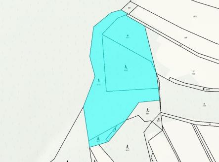 les-jirka.jpg | Prodej - pozemek, les, 11 901 m²