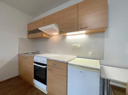 img-9194.jpg | Pronájem bytu, 1+kk, 320 m²