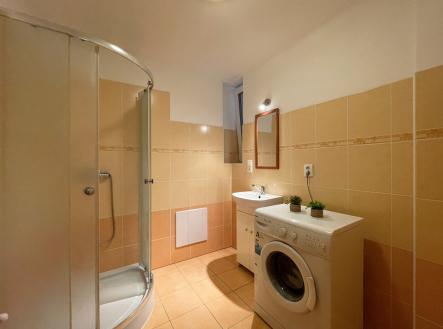 img-9210.jpg | Pronájem bytu, 1+kk, 320 m²