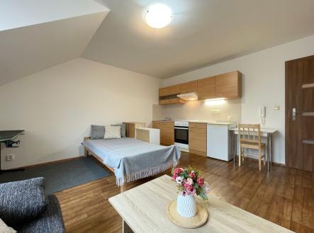 img-9196.jpg | Pronájem bytu, 1+kk, 320 m²