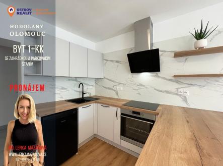 uvodni-e.krasnohorske.jpg | Pronájem bytu, 1+kk, 659 m²