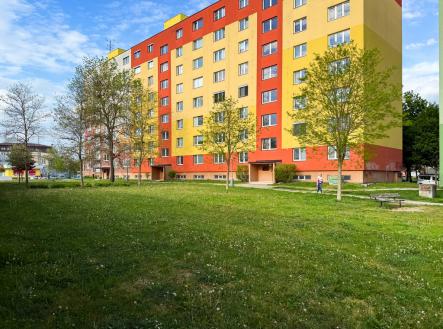 lena-upravena.jpg | Prodej bytu, 2+1, 43 m²