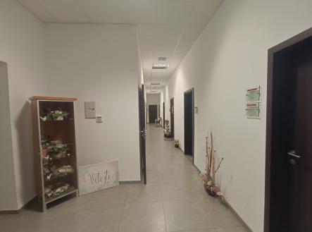 img-20260617-182145.jpg | Pronájem - kanceláře, 39 m²