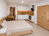 Pronájem bytu, 1+kk, 8 169 m²