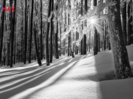 horni-sytova-3.jpg | Prodej - pozemek pro bydlení, 3 316 m²