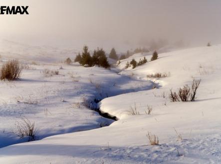 horni-sytova-4.jpg | Prodej - pozemek pro bydlení, 3 316 m²