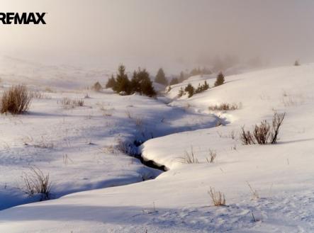 horni-sytova-4.jpg | Prodej - pozemek pro bydlení, 3 316 m²