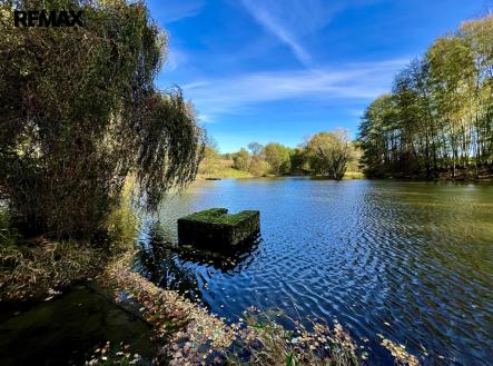 01-rybnik-06.jpg | Prodej - pozemek, ostatní, 8 558 m²