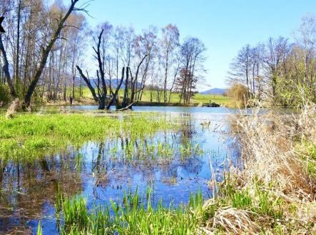 01-rybnik-02.jpg | Prodej - pozemek, ostatní, 8 558 m²