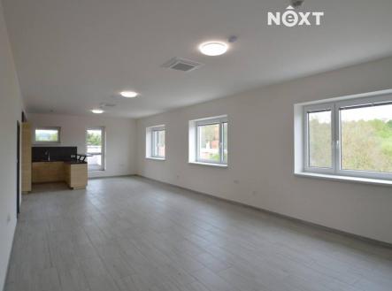 Pronájem bytu, 4+kk, 230 m²