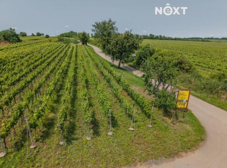 Prodej - pozemek, ostatní, 2 318 m²