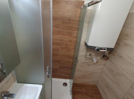 01e260a4-257b-450c-a647-5af4f456c10a.jpg | Pronájem bytu, 2+1, 56 m²