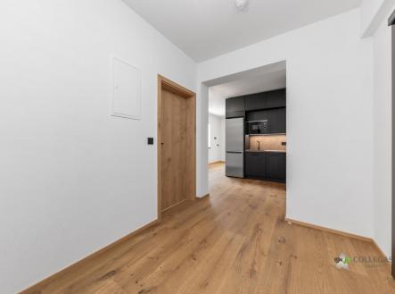 1.jpg | Prodej bytu, 1+kk, 45 m²