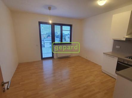 obývací pokoj s kuch linkou | Pronájem bytu, 1+kk, 31 m²