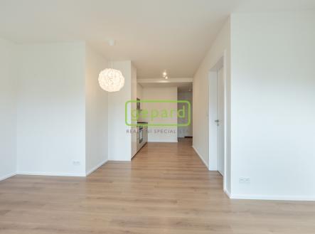 pohled z obývacího pokoje na kuchyň | Pronájem bytu, 2+kk, 45 m²