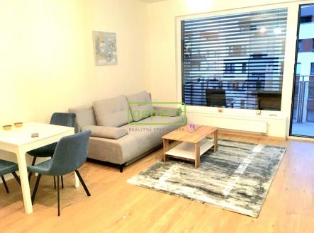 rozkládací pohovka | Pronájem bytu, 1+kk, 44 m²