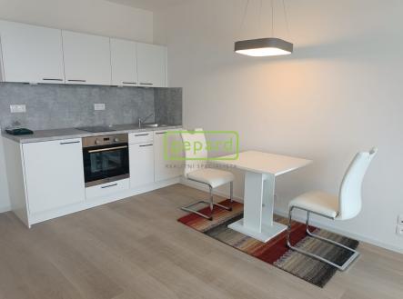 Pohled na linku | Pronájem bytu, 1+kk, 30 m²