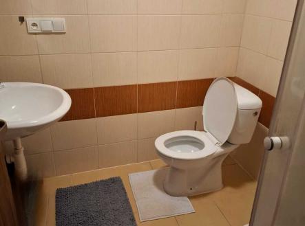 Pronájem bytu, 1+kk, 27 m²
