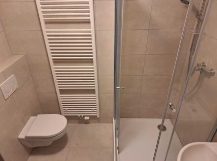 Pronájem bytu, 1+kk, 29 m²