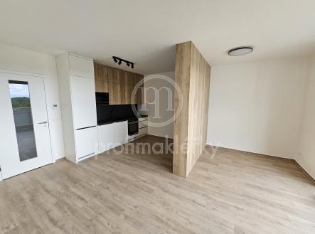 20240701_132234 | Pronájem bytu, 1+kk, 37 m²