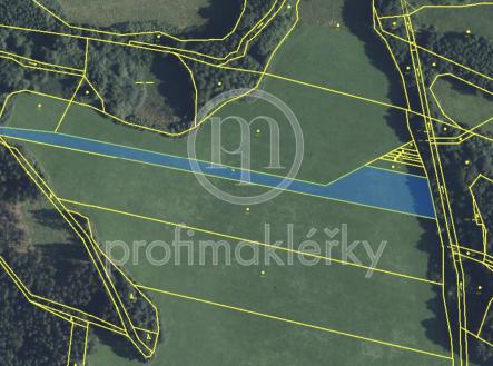 Snímek obrazovky 2025-10-28 v 11.37.09 | Prodej - pozemek, trvalý travní porost, 5 639 m²