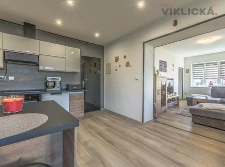 Prodej - dům/vila, 470 m²
