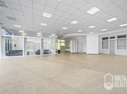 Prodej - obchodní prostor, 230 m²